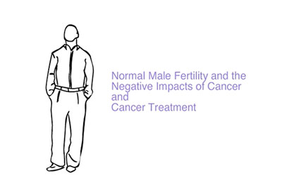 Normal Male Fertility & the Negative Impacts of Cancer and Cancer Treatment